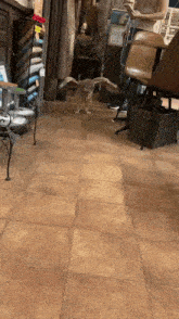 an owl is flying through a room with a woman sitting at a table looking at her phone