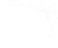 a spider web on a white background with a lot of lines