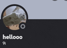 a picture of a cat in a circle with the name hellooo on the bottom