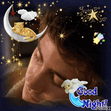 a picture of a man sleeping with a cat on a crescent moon and the words " good night " on the bottom