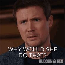 Why Would She Do That Charlie Hudson GIF - Why Would She Do That Charlie Hudson Hudson And Rex GIFs