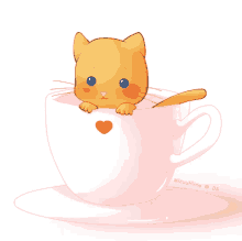 Kitten In Cup Cute GIF