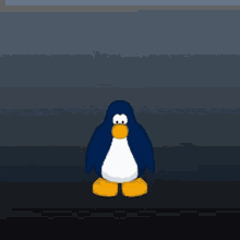 Club Penguin Box Dimension GIF