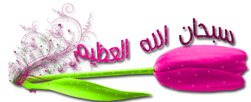 سبحان الله Sticker - سبحان الله العظيم Stickers