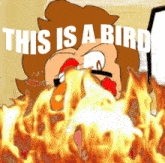 a cartoon character with flames coming out of his mouth and the words " this is a bird " above him