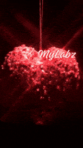 a picture of a man and a picture of a woman with the name mylabz on the bottom