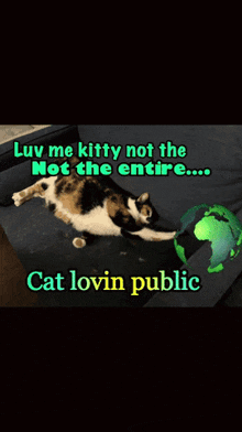 a cat laying on a couch with a caption that says " luv me kitty not the not the entire ...