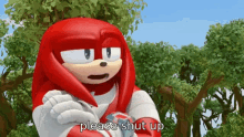 Knuckles The Echidna Knuckles GIF - Knuckles The Echidna Knuckles Shut Up GIFs