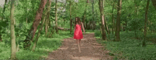 Walking Alone GIF - Walking Alone Forest GIFs
