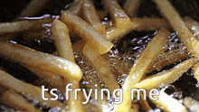 french fries are being cooked in a fryer with the words ts frying me
