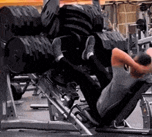 a man sits on a bench in a gym with a stack of dumbbells behind him