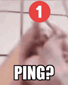 Discord Ping GIF - Discord Ping Pingus GIFs