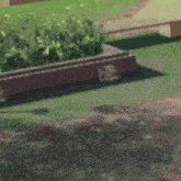 a brick planter filled with plants is sitting on top of a lush green field .