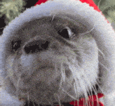 Otter Christmas Kotaro GIF - Otter Christmas Otter Christmas GIFs