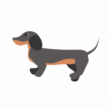 an illustration of a dachshund with its eyes closed and its tail visible