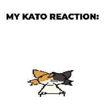 a pixel art drawing of a cat with the words `` my kato reaction '' written above it .