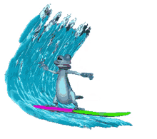 meme surfing geko