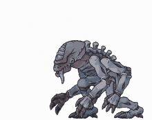 GIF