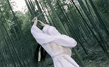 Xiao Xingchen Song Jiyang GIF - Xiao Xingchen Song Jiyang The Untamed GIFs