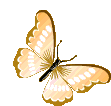 Borboletas Butterfly Sticker