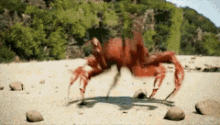 crab dance party