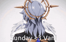 sunday < 3 vani is written on the back of a person