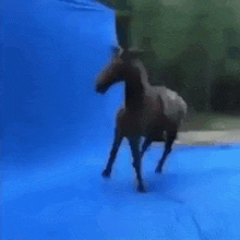 a blurry picture of a person jumping into a blue pool