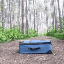 Traveling GIF - Traveling GIFs