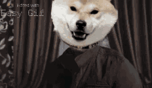 Knockout Dogecoin GIF
