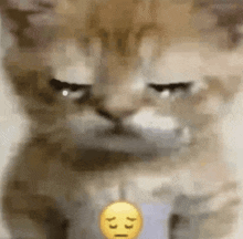 a close up of a cat 's face with a smiley face on it .