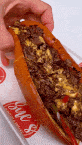 Philly Cheesesteak Food GIF