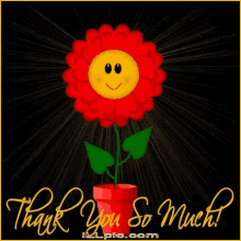 thank you so much flower colorful flower pot animated