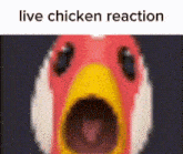 Chicken Low Quality GIF