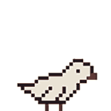 bird peck pixel art white