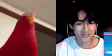 a man in a white shirt is sitting in front of a computer screen while holding a red object .