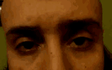 Man Eye Brows GIF