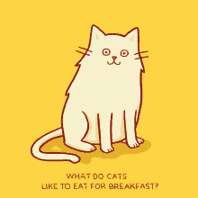 Cat What Do Cats Eat For Breakfast GIF - Cat What Do Cats Eat For Breakfast GIFs