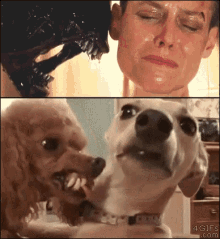 Dog Alien And Ripley GIF - Dog Alien And Ripley Mean Dog And Scared Dog GIFs