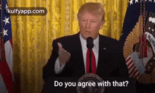 donald trump is giving a speech in front of a microphone and asking do you agree with that ?