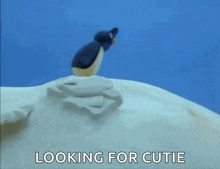 Pingu Search GIF - Pingu Search Where Are You GIFs