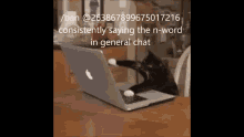 Cat Discord Mod GIF - Cat Discord Mod Nword GIFs