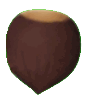 a brown object with a green outline around it