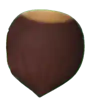 a brown object with a green outline around it