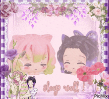 a picture of two anime characters with the words sleep well in the corner