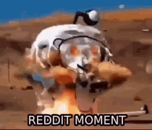 Reddit Moment GIF - Reddit Moment GIFs