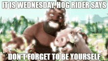 Wednesday Blessings Hog GIF - Wednesday Blessings Wednesday Hog GIFs