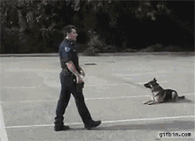 Badass Police Dog GIF - Police Officer Cop GIFs