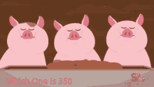 Piggy350 GIF