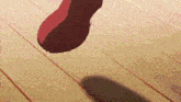 a person is walking on a wooden floor and their shadow is visible