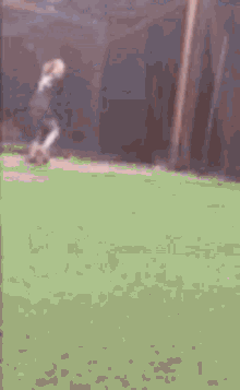 Annabanana Tiktok GIF